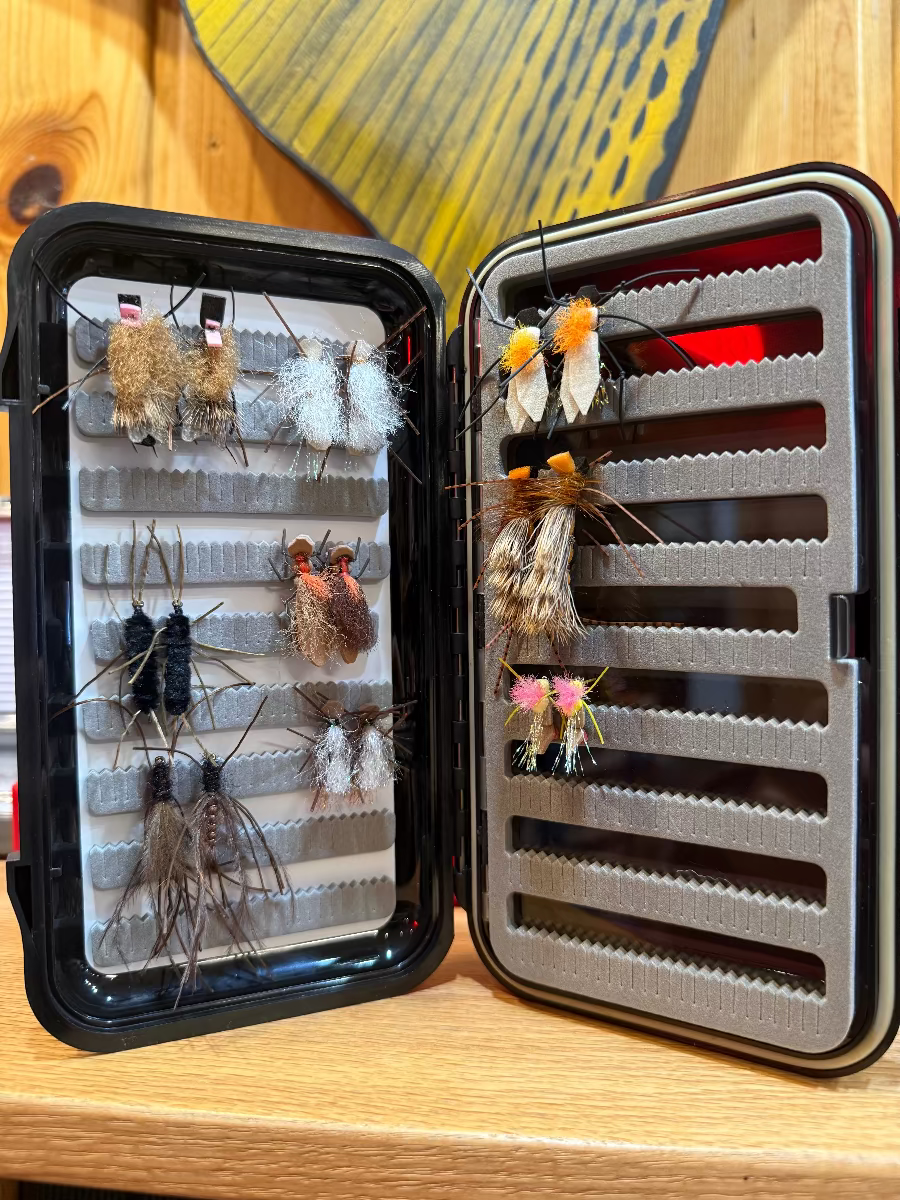 The Madison River Stonefly Selection