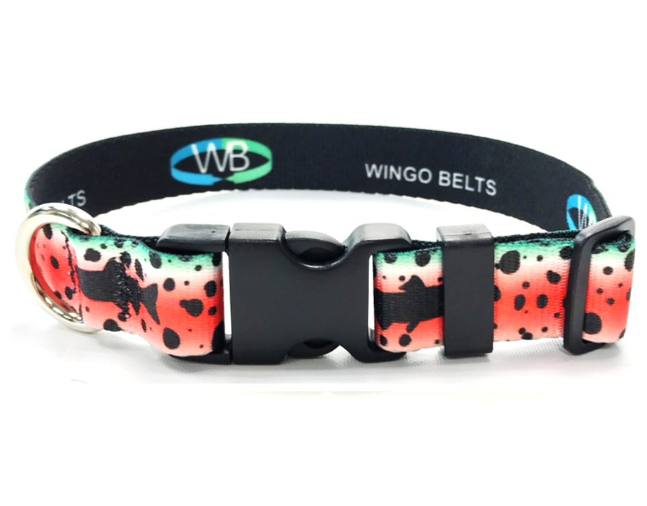Wingo Dog Collar